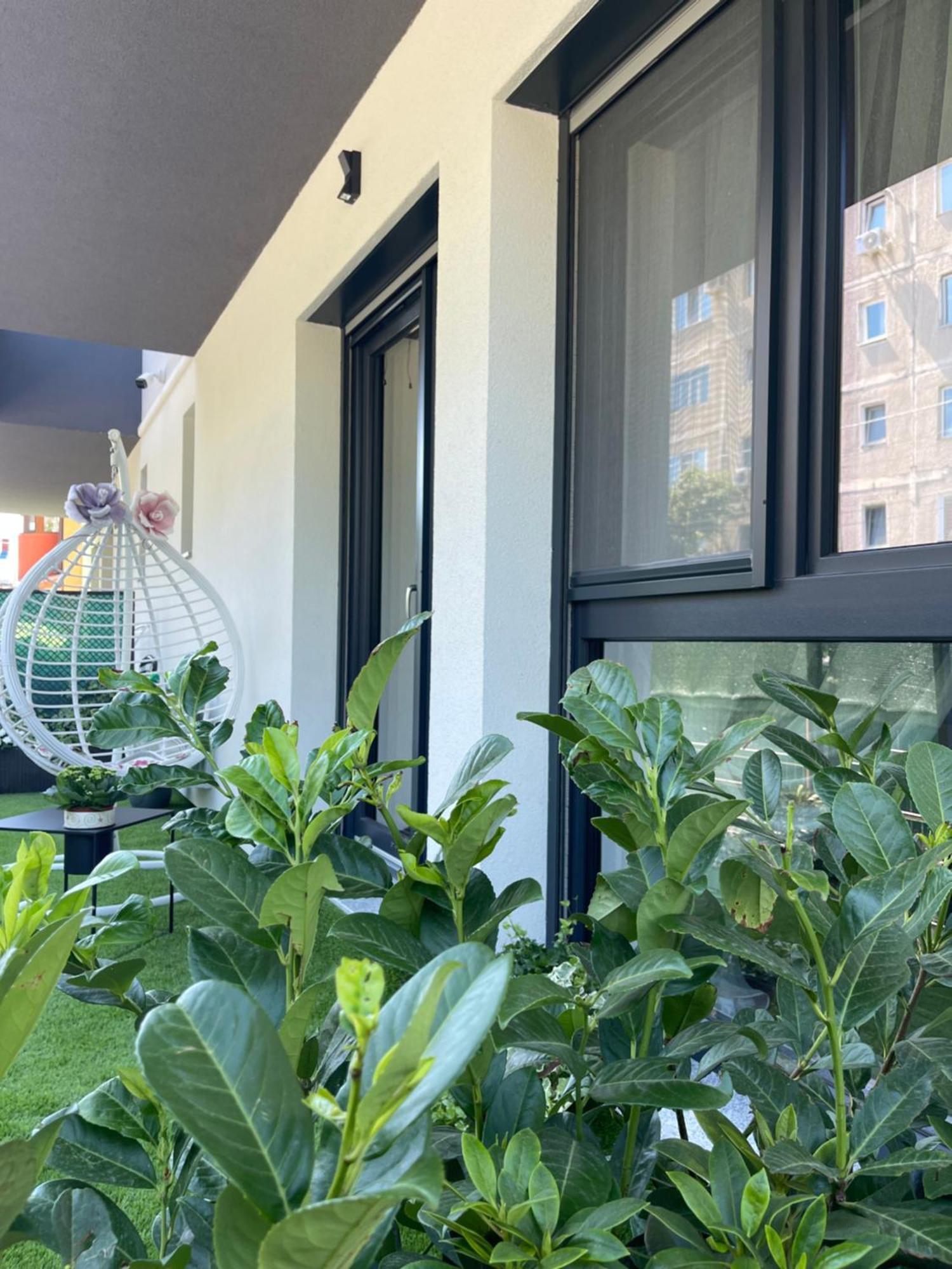 Am Apartments Timișoara Zewnętrze zdjęcie